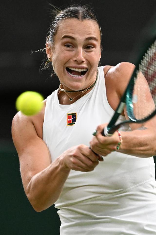 的裁判与球 的裁判与球